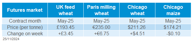 Global grains 25 11 202472